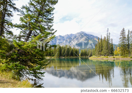 秋季加拿大洛磯山脈弓河和硫磺山（加拿大艾伯塔省） 66632573