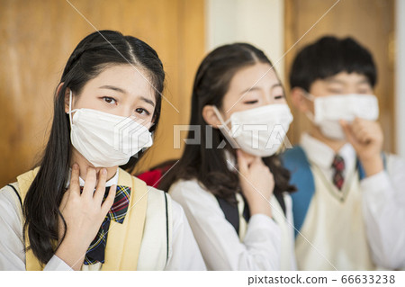 Group of school students portrait, happy smiling male and female students 242 66633238