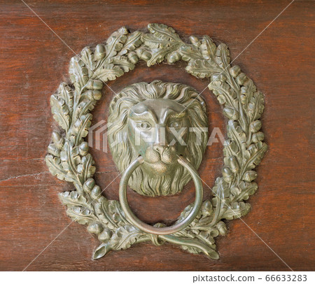 old bronze door knocker - lion head and oak wreath 66633283