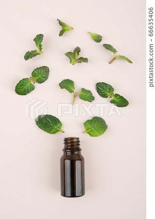 Herbal cosmetic concept, inner or skin beauty care 157 Herbal cosmetic concept, inner or skin beauty care 157 66635406