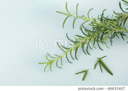 Herbal cosmetic concept, inner or skin beauty care 003 Herbal cosmetic concept, inner or skin beauty care 003 66635407