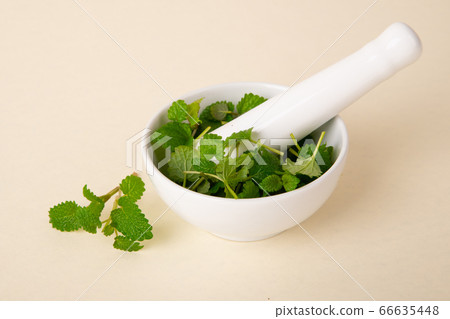 Herbal cosmetic concept, inner or skin beauty care 112 Herbal cosmetic concept, inner or skin beauty care 112 66635448