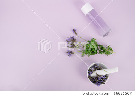 Herbal cosmetic concept, inner or skin beauty care 197 Herbal cosmetic concept, inner or skin beauty care 197 66635507