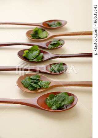 Herbal cosmetic concept, inner or skin beauty care 130 Herbal cosmetic concept, inner or skin beauty care 130 66635543