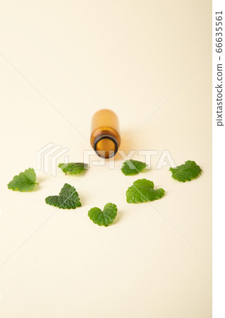 Herbal cosmetic concept, inner or skin beauty care 116 Herbal cosmetic concept, inner or skin beauty care 116 66635561