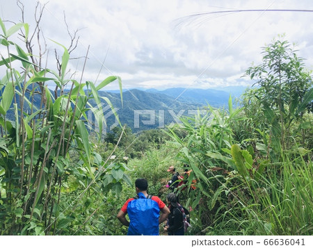 Traveler trekking in tropical forest, landscape mountain view at Phu Soi Dao national park, Thailand 66636041