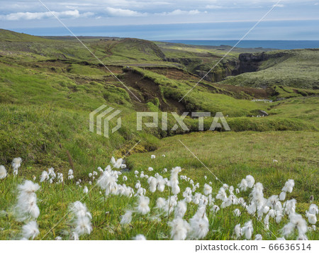 Beautiful lush green Landscape of Skoga river 66636514