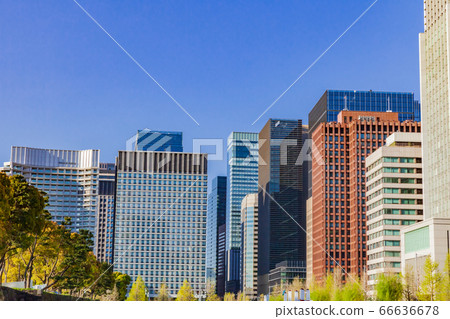 丸之內春天的東京城市景觀 丸之內春天的東京城市景觀 66636678