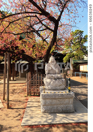 [品川區] E原神社的惠比壽 66636849