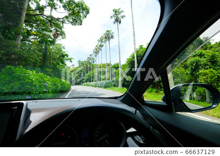 Tropical road and car 66637129