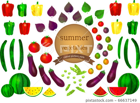 夏季蔬菜套-夏季蔬菜套 夏季蔬菜套-夏季蔬菜套 66637149