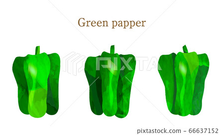 Illustration of summer vegetables-green pepper Illustration of summer vegetables-green pepper 66637152