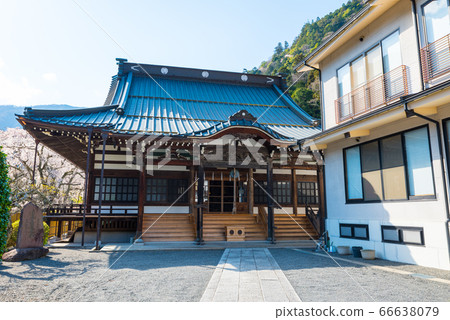 2020年3月,清水坊琉球院Minobu Mountain Kuon-ji Temple(南山駒郡美濃町) 2020年3月,清水坊琉球院Minobu Mountain Kuon-ji Temple(南山駒郡美濃町) 66638079