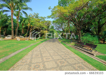 Pathway in the park On a sunny day Pathway in the park On a sunny day 66639103