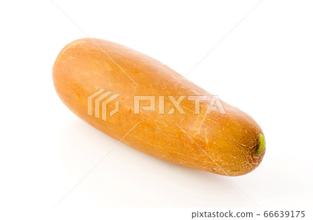 Mawi (red gourd) 66639175