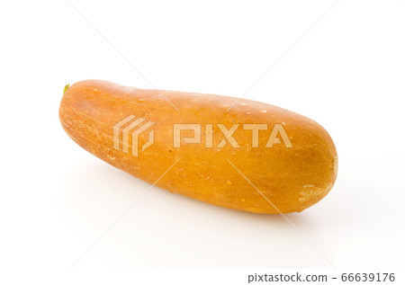 Mawi (red gourd) 66639176