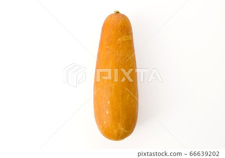 Mawi（紅葫蘆） 66639202