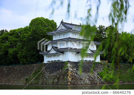 Scenery of Nagoya Castle in Nagoya City, Aichi Prefecture, northwest corner tower and fresh green [June] 66640276