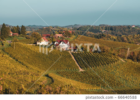 Wine road, Maribor, Slovenia 66640588