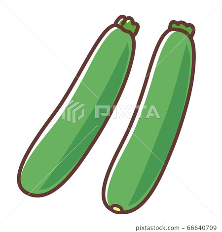 zucchini  66640709