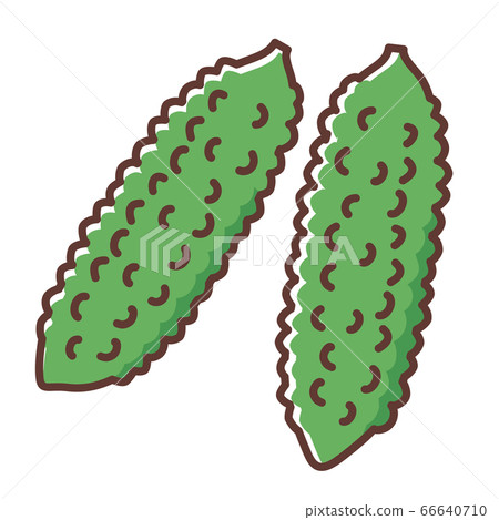 Bitter gourd 66640710