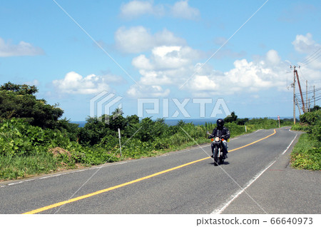 遊覽大型自行車 66640973