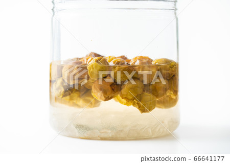 鹹菜李子糖漿 66641177