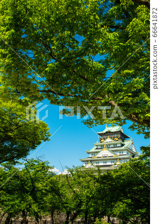 Osaka Castle and fresh green Osaka Castle and fresh green 66641872