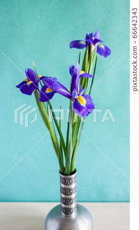 bouquet of iris flowers in pewter vase on table bouquet of iris flowers in pewter vase on table 66642343
