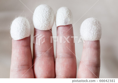 natural silk cocoons wear on tips of fingers 66642381