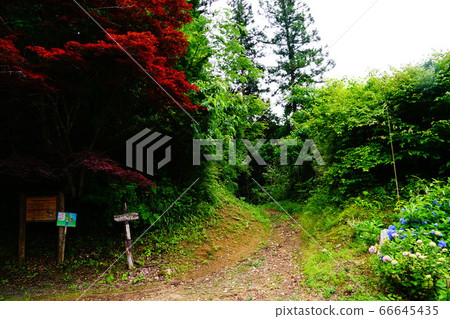 Hanno Yangshan Mountain Trail from Fukutokuji to Yugate 66645435