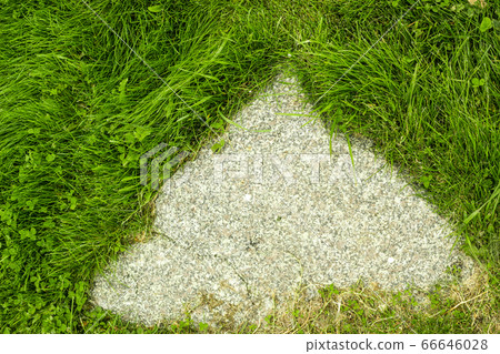 Stone footpath pattern with green grass background for interior design. Top view 66646028
