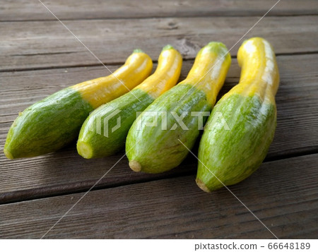 Zucchini green pants Zucchini green pants 66648189
