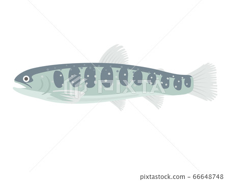 字符的插圖 字符的插圖 66648748