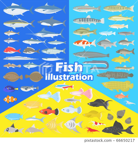 魚插圖集 66650217