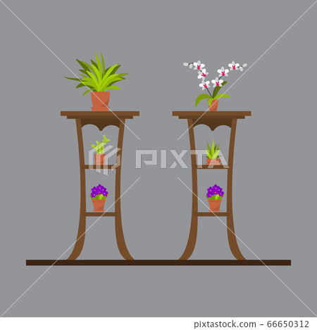 Set of green house plants in pots Set of green house plants in pots 66650312