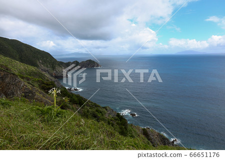 Ehime Prefecture Summer, Ainan Town, Takashimisaki 66651176