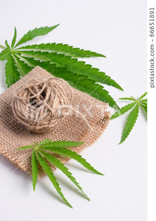 Fabric fiber threads from hemp plant material. The concept of natural production. Vertical frame top view. 66651891