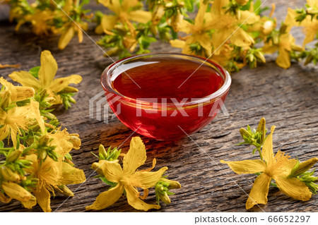 Red oil made from St. John's wort flowers in a bowl Red oil made from St. John's wort flowers in a bowl 66652297