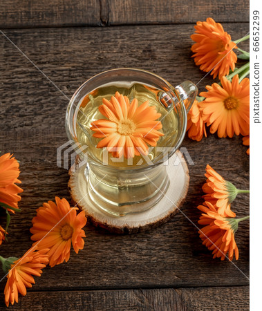 Calendula tea with fresh calendula flowers on a table Calendula tea with fresh calendula flowers on a table 66652299