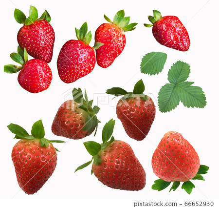 Set of ripe strawberries isolated Set of ripe strawberries isolated 66652930