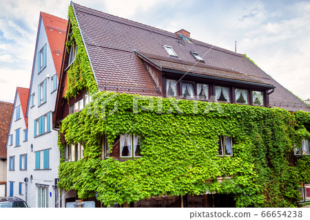 House overgrown with ivy in town of Ulm, Germany. House overgrown with ivy in town of Ulm, Germany. 66654238