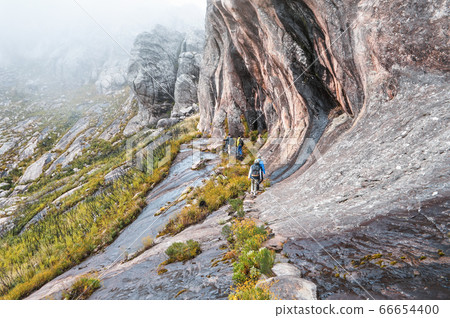 Group of hikers, with hiking guide in front walk 66654400