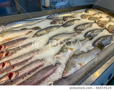 Assortment of whole fish for sale at frozen showcase 66654529