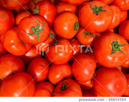 Full frame photo of perfect ripe red tomatoes for background Full frame photo of perfect ripe red tomatoes for background 66654564