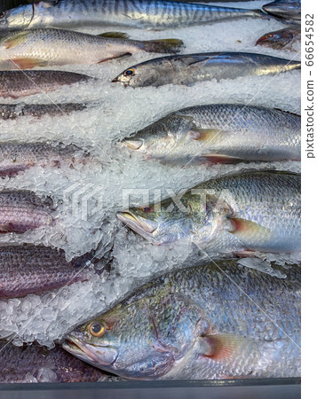 Vertical photo of frozen fish at the seafood store 66654582