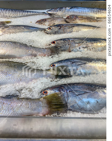 Assortment of fish on frozen ice for sale at supermarket Assortment of fish on frozen ice for sale at supermarket 66654604