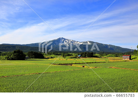 Paddy field and Chokaiyama Paddy field and Chokaiyama 66655783