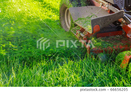 Close up of cutting grass with using petrol lawn Close up of cutting grass with using petrol lawn 66656205