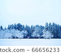 Winter landscape 66656233